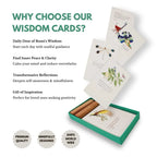 Whispers of Rumi Card Deck